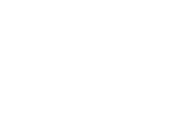 Silesian Startup